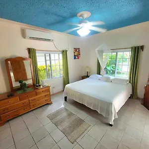 Green's Palace Jamaica Oracabessa