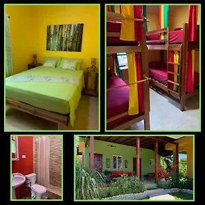 Queendom Farm And Oracabessa